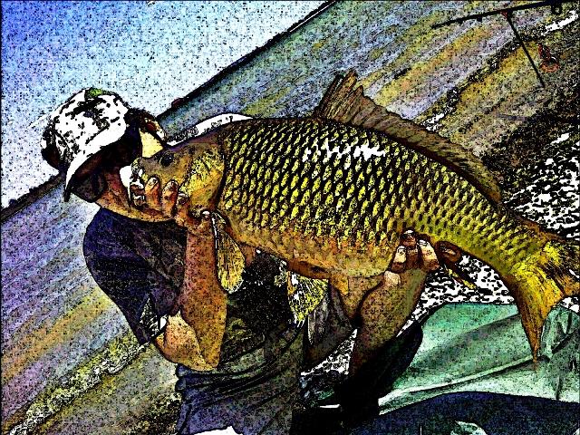 prelucrari - picsart1382195505361.jpg